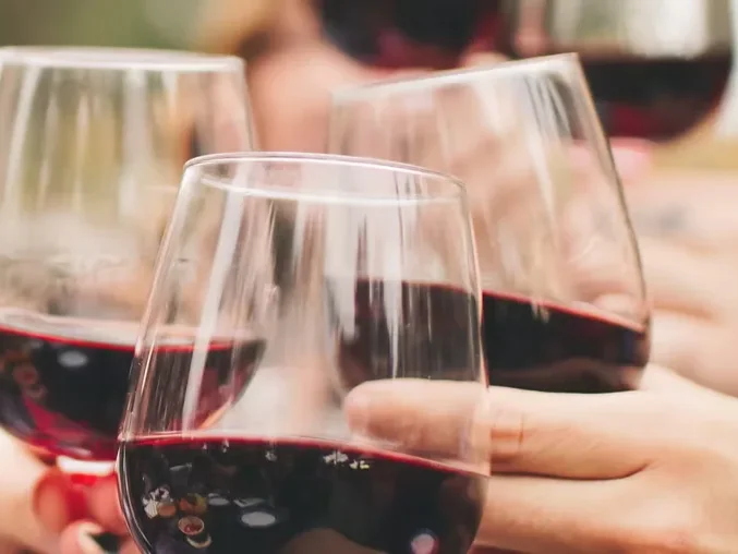 cata de vinos algueira